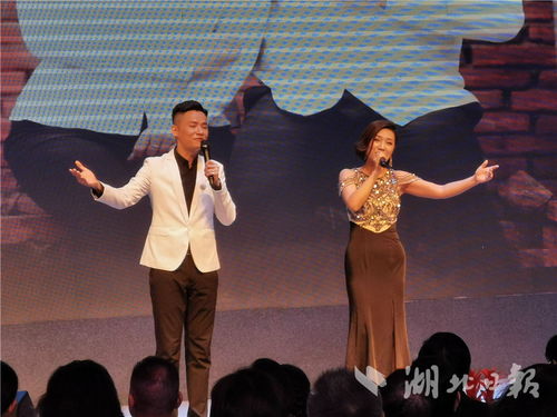 湖北省文藝界原創(chuàng)音樂(lè)作品專題演唱會(huì)成功舉辦，系列公益演出持續(xù)惠民